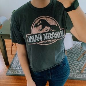 Distressed Jurassic Park Tee